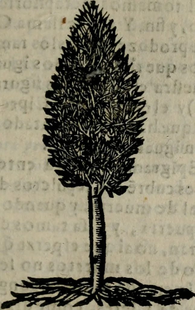 An illustration from Declaracion magistral sobre las Emblemas de Andres Alciato : con todas las historias, antiguedades, moralidad, y doctrina, tocante a las buenas costumbres : dedicadas a la muy noble insigne, leal, y coronada ciudad de Valencia, 1670, leaf 702