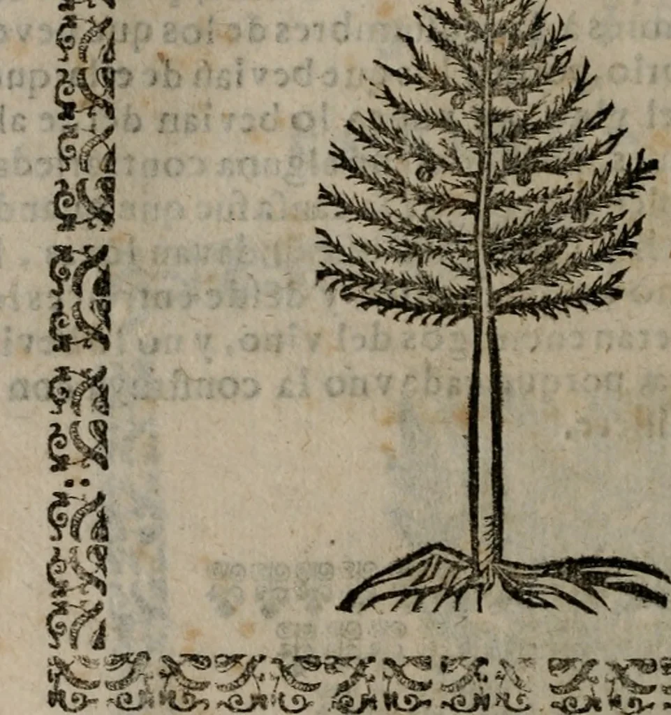 An illustration from Declaracion magistral sobre las Emblemas de Andres Alciato : con todas las historias, antiguedades, moralidad, y doctrina, tocante a las buenas costumbres : dedicadas a la muy noble insigne, leal, y coronada ciudad de Valencia, 1670, leaf 709