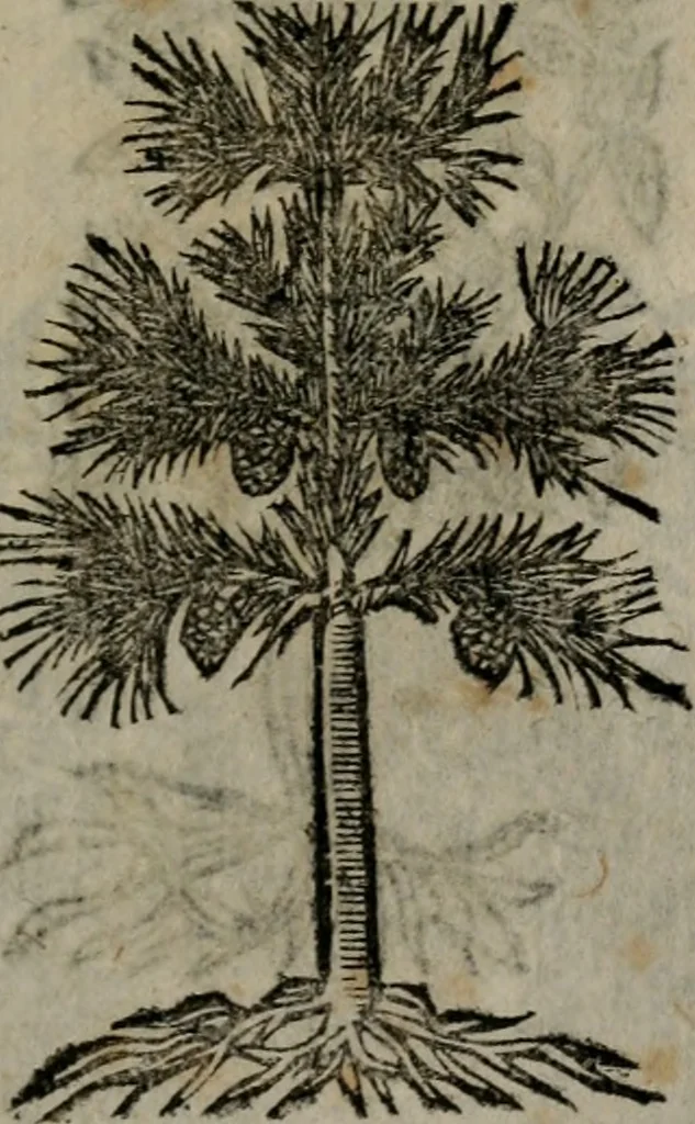 An illustration from Declaracion magistral sobre las Emblemas de Andres Alciato : con todas las historias, antiguedades, moralidad, y doctrina, tocante a las buenas costumbres : dedicadas a la muy noble insigne, leal, y coronada ciudad de Valencia, 1670, leaf 710