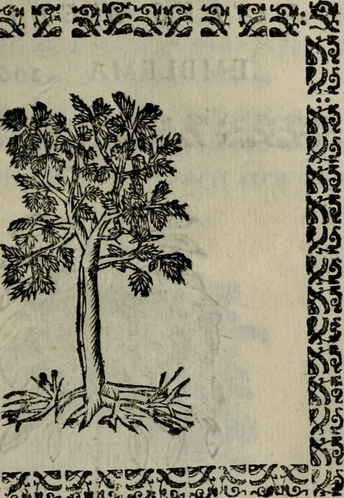 An illustration from Declaracion magistral sobre las Emblemas de Andres Alciato : con todas las historias, antiguedades, moralidad, y doctrina, tocante a las buenas costumbres : dedicadas a la muy noble insigne, leal, y coronada ciudad de Valencia, 1670, leaf 716