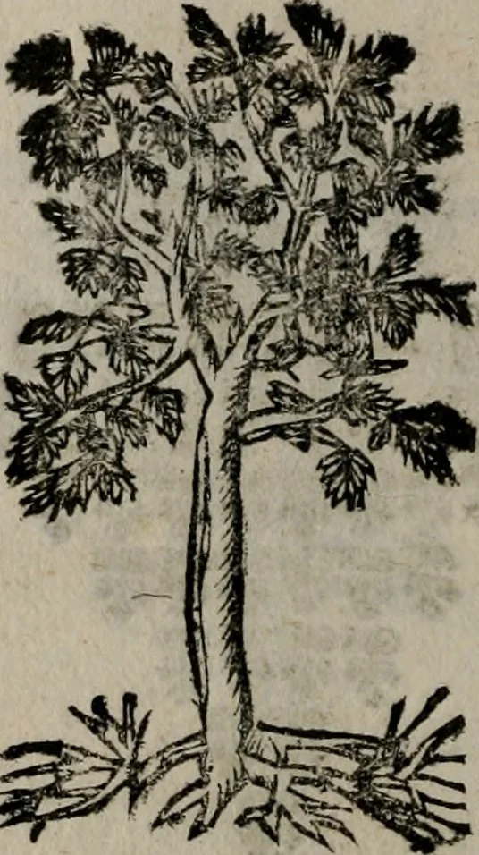 An illustration from Declaracion magistral sobre las Emblemas de Andres Alciato : con todas las historias, antiguedades, moralidad, y doctrina, tocante a las buenas costumbres : dedicadas a la muy noble insigne, leal, y coronada ciudad de Valencia, 1670, leaf 723