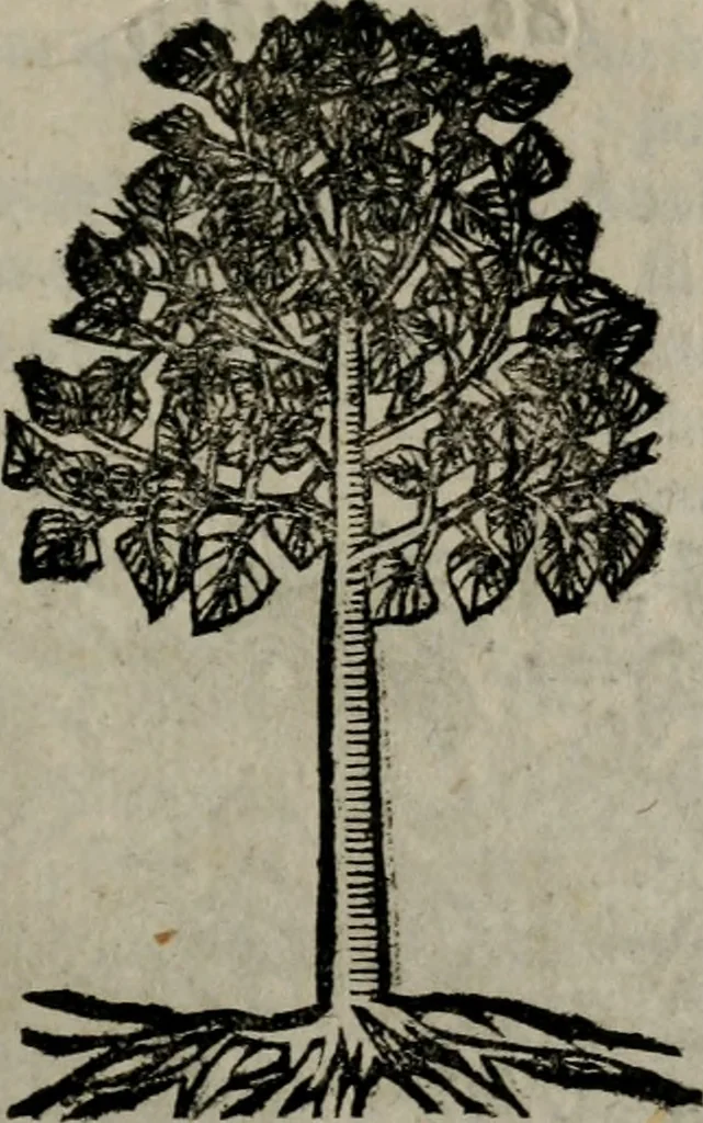 An illustration from Declaracion magistral sobre las Emblemas de Andres Alciato : con todas las historias, antiguedades, moralidad, y doctrina, tocante a las buenas costumbres : dedicadas a la muy noble insigne, leal, y coronada ciudad de Valencia, 1670, leaf 726