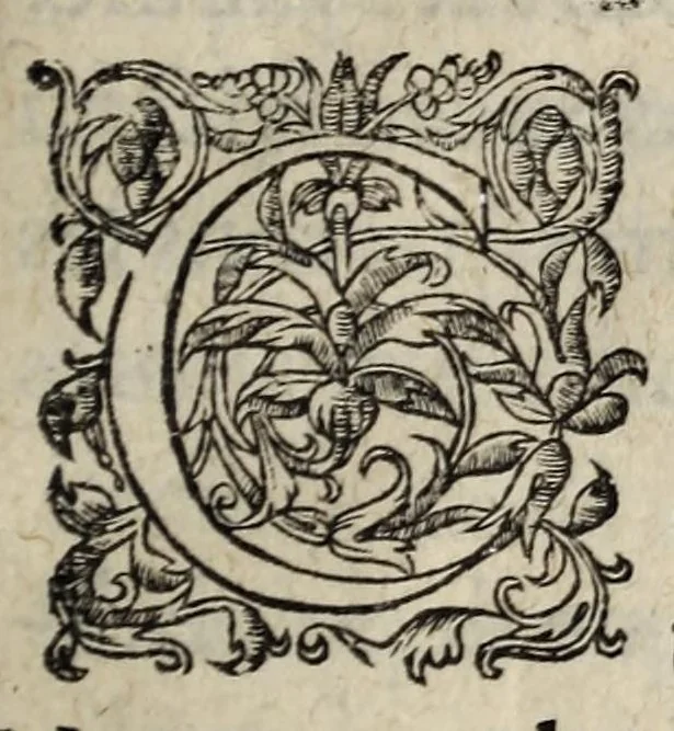 An illustration from Declaratiõ & interpretation dv Roy svr l'Edict de la pacification des troubles pour le faict de la religion : publié en la Cour de Parlement à Paris, le XX Decembre, 1563., 1563, leaf 3