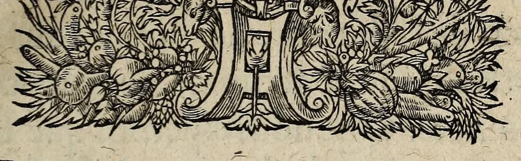 An illustration from Declaratiõ & interpretation dv Roy svr l'Edict de la pacification des troubles pour le faict de la religion : publié en la Cour de Parlement à Paris, le XX Decembre, 1563., 1563, leaf 3