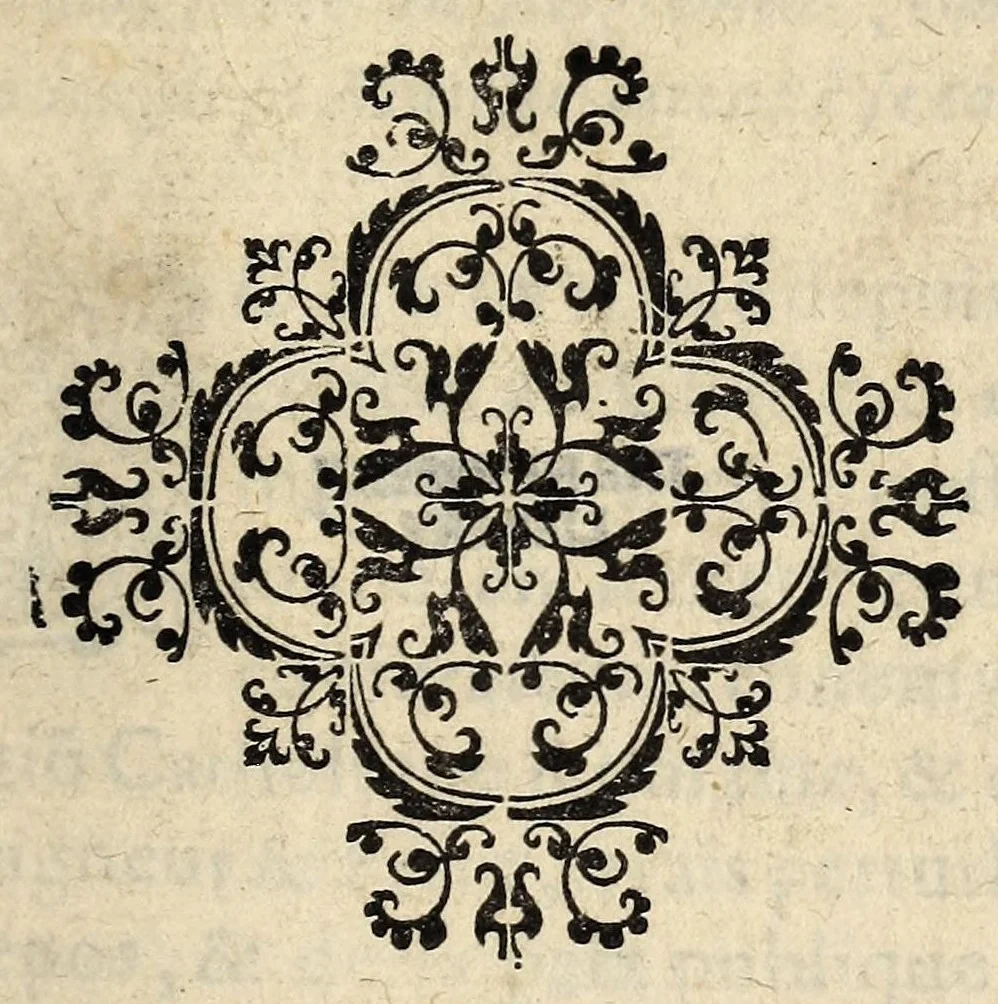 An illustration from Declaration de l'intention du seigneur Don Iean d'Austriche ... gouuerneur & capitaine general des Pays Bas, auant que de passer la Meuze & tenter la voye d'armes. Inuitant ceulx desdictz pays à se recognoistre vers Dieu & leur roy, auec vn reglement, comme les soldatz de Sa Maiesté auront à se cõduyre., 1578, leaf 9