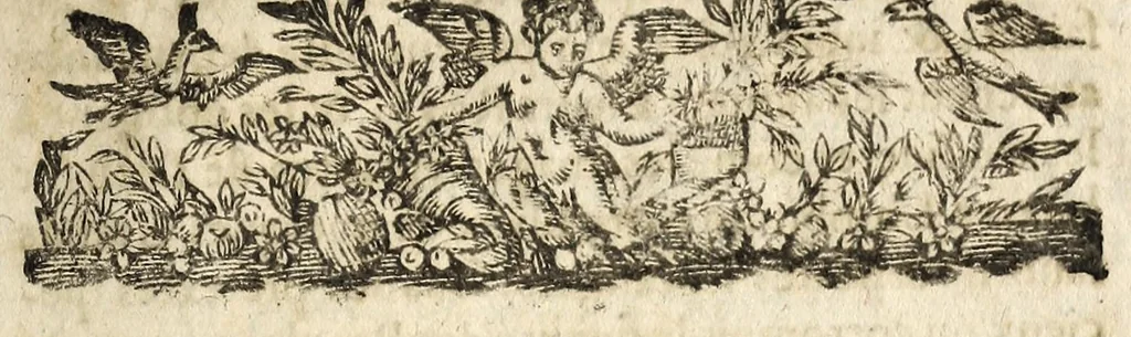 An illustration from Declaration du roy publiée en Parlement, Sa Majesté y seant, le dix-huictiesme ianuier mil six cens trente-quatre., 1634, leaf 7