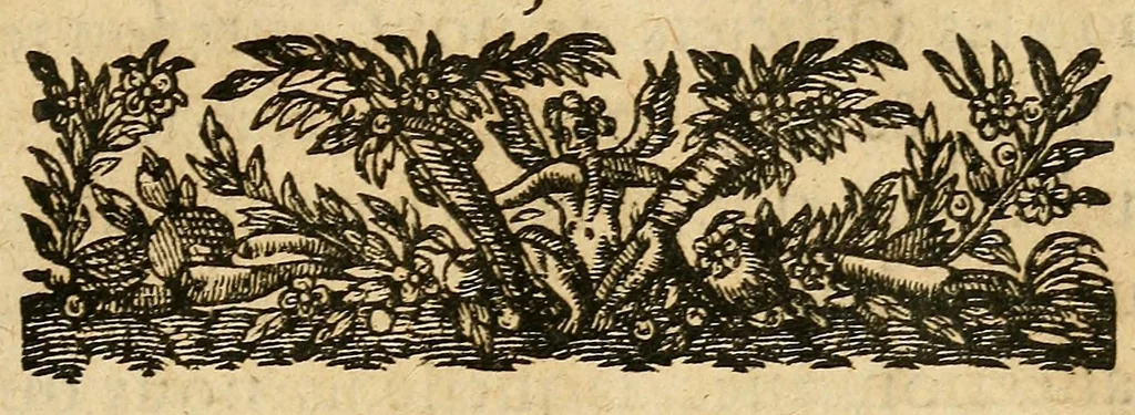 An illustration from Declaration du Roy, pour le restablissement du Droict annuel, 1621, leaf 3