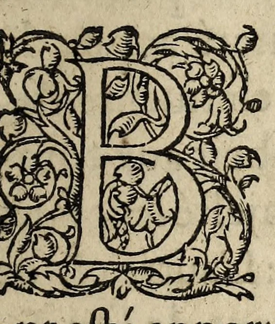 An illustration from Declaration Dv Roy Svr Le Svbiect Des Novveavx remuements de son Royaume., 1617, leaf 3