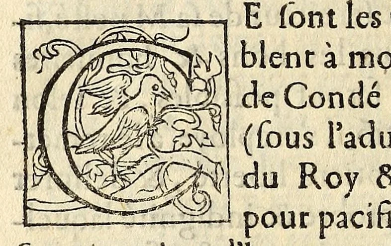 An illustration from Declaration faicte par Monsieur le Prince de Condé, pour monstrer les raisons qui l'ont contrainct d'emtreprendre la defense de l'authorité du Roy, du gouuernement de la Royne, & du repos de ce Royaume. Auec la protestation sur ce requise., 1564, leaf 102