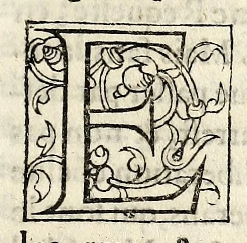 An illustration from Declaration faicte par Monsieur le Prince de Condé, pour monstrer les raisons qui l'ont contrainct d'emtreprendre la defense de l'authorité du Roy, du gouuernement de la Royne, & du repos de ce Royaume. Auec la protestation sur ce requise., 1564, leaf 117