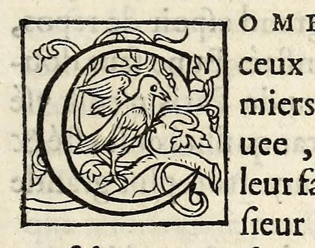 An illustration from Declaration faicte par Monsieur le Prince de Condé, pour monstrer les raisons qui l'ont contrainct d'emtreprendre la defense de l'authorité du Roy, du gouuernement de la Royne, & du repos de ce Royaume. Auec la protestation sur ce requise., 1564, leaf 7