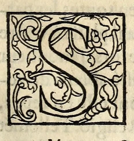 An illustration from Declaration faicte par Monsieur le Prince de Condé, pour monstrer les raisons qui l'ont contrainct d'emtreprendre la defense de l'authorité du Roy, du gouuernement de la Royne, & du repos de ce Royaume. Auec la protestation sur ce requise., 1564, leaf 75