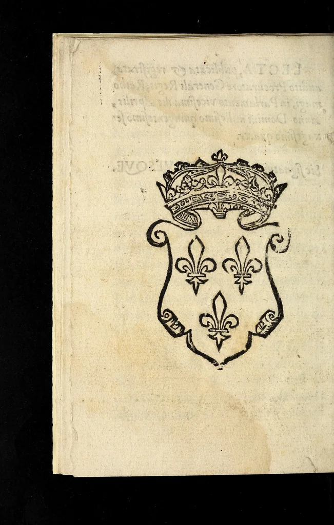 An illustration from Declaration faicte par le Roy svr l'edict de l'abbreuiation des proces. Publié en la Court de Parlement à Rouen, le xx. iour du mois d'A uril apres pasques. 1564., 1564, leaf 28