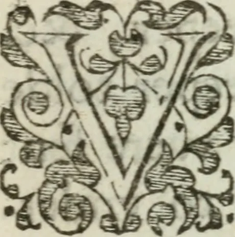 An illustration from A declaration of the practises & treasons attempted and committed by Robert late Earle of Essex and his complices, against Her Maiestie and her kingdoms, and of the proceedings as well at the arraignments & conuictions of the said late Earle, and his adherents, as after. Together with the very confessions and other parts of the euidences themselues, word for word taken out of the originals, 1601, leaf 106