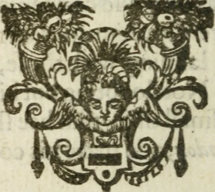 An illustration from A declaration of the practises & treasons attempted and committed by Robert late Earle of Essex and his complices, against Her Maiestie and her kingdoms, and of the proceedings as well at the arraignments & conuictions of the said late Earle, and his adherents, as after. Together with the very confessions and other parts of the euidences themselues, word for word taken out of the originals, 1601, leaf 123