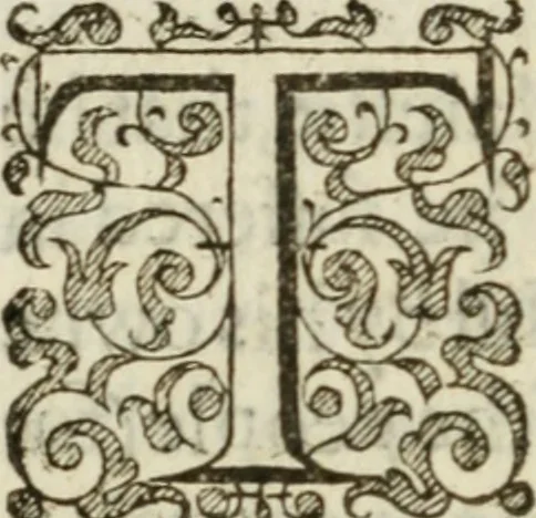An illustration from A declaration of the practises & treasons attempted and committed by Robert late Earle of Essex and his complices, against Her Maiestie and her kingdoms, and of the proceedings as well at the arraignments & conuictions of the said late Earle, and his adherents, as after. Together with the very confessions and other parts of the euidences themselues, word for word taken out of the originals, 1601, leaf 73