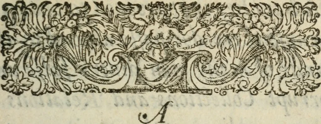 An illustration from A declaration of the practises & treasons attempted and committed by Robert late Earle of Essex and his complices, against Her Maiestie and her kingdoms, and of the proceedings as well at the arraignments & conuictions of the said late Earle, and his adherents, as after. Together with the very confessions and other parts of the euidences themselues, word for word taken out of the originals, 1601, leaf 8