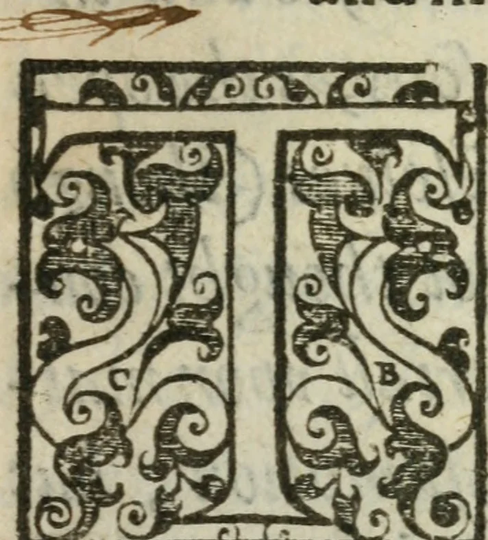 An illustration from A declaration of the practises & treasons attempted and committed by Robert late Earle of Essex and his complices, against Her Maiestie and her kingdoms, and of the proceedings as well at the arraignments & conuictions of the said late Earle, and his adherents, as after. Together with the very confessions and other parts of the euidences themselues, word for word taken out of the originals, 1601, leaf 8