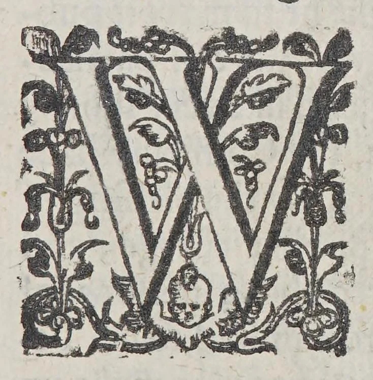An illustration from A declaration of the state of the colony and affaires in Virginia: : with the names of the aduenturors, and summes aduentured in that action., 1620, leaf 23