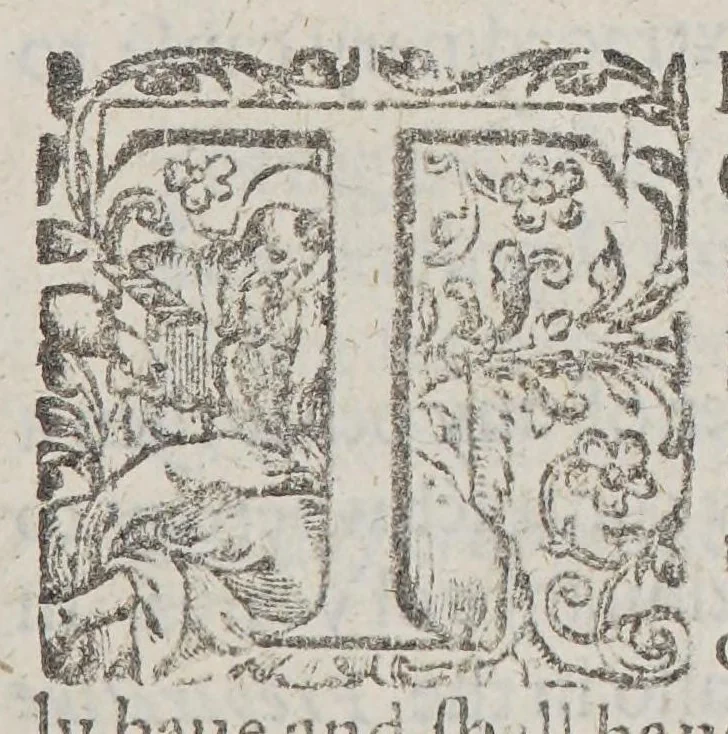 An illustration from A declaration of the state of the colony and affaires in Virginia: : with the names of the aduenturors, and summes aduentured in that action., 1620, leaf 63