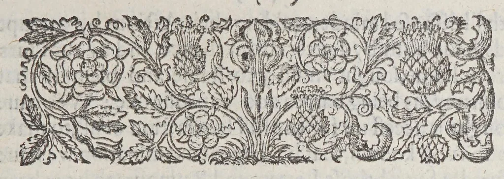 An illustration from A declaration of the state of the colony and affaires in Virginia: : with the names of the aduenturors, and summes aduentured in that action., 1620, leaf 9