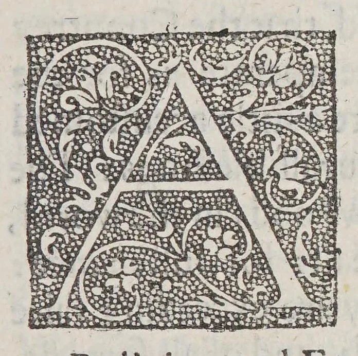An illustration from A declaration of the state of the colony and affaires in Virginia: : with the names of the aduenturors, and summes aduentured in that action., 1620, leaf 9