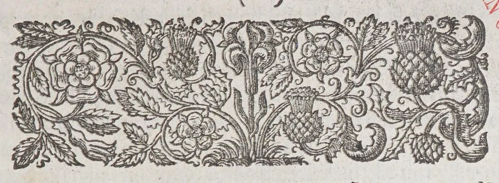 An illustration from A declaration of the state of the colony and affaires in Virginia: : with the names of the aduenturors, and summes aduentured in that action., 1620, leaf 11