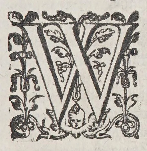 An illustration from A declaration of the state of the colony and affaires in Virginia: : with the names of the aduenturors, and summes aduentured in that action., 1620, leaf 25