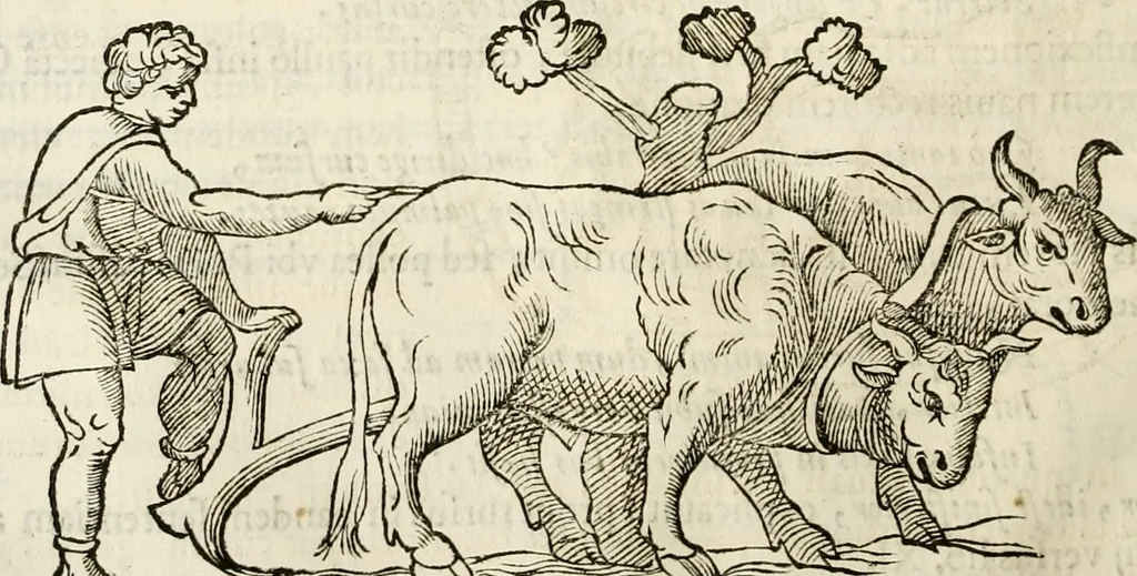 An illustration from De colvmna Traiani syntagma. Accesserunt explicatio veteris tabellae anaglyphae Homeri Iliadem, atqve ex Stesichoro, Arctino et Lesche Ilii excidivm continentis, & Emissarii Lacus Fvcini descriptio, 1683, leaf 159