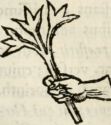 An illustration from De colvmna Traiani syntagma. Accesserunt explicatio veteris tabellae anaglyphae Homeri Iliadem, atqve ex Stesichoro, Arctino et Lesche Ilii excidivm continentis, & Emissarii Lacus Fvcini descriptio, 1683, leaf 183