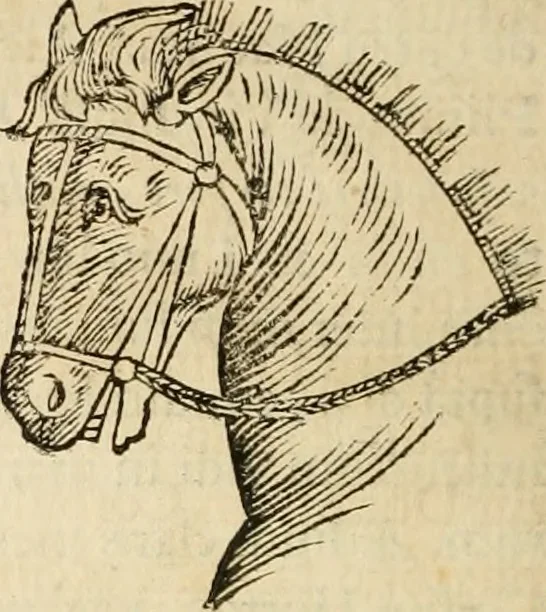 An illustration from De colvmna Traiani syntagma. Accesserunt explicatio veteris tabellae anaglyphae Homeri Iliadem, atqve ex Stesichoro, Arctino et Lesche Ilii excidivm continentis, & Emissarii Lacus Fvcini descriptio, 1683, leaf 233