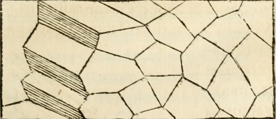 An illustration from De colvmna Traiani syntagma. Accesserunt explicatio veteris tabellae anaglyphae Homeri Iliadem, atqve ex Stesichoro, Arctino et Lesche Ilii excidivm continentis, & Emissarii Lacus Fvcini descriptio, 1683, leaf 236
