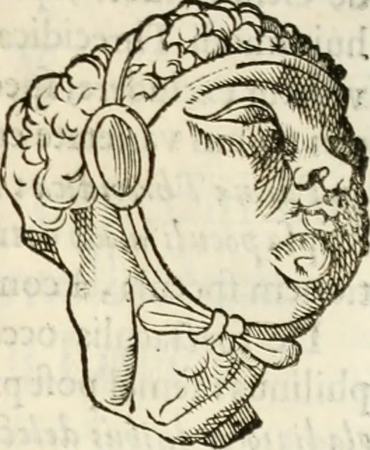 An illustration from De colvmna Traiani syntagma. Accesserunt explicatio veteris tabellae anaglyphae Homeri Iliadem, atqve ex Stesichoro, Arctino et Lesche Ilii excidivm continentis, & Emissarii Lacus Fvcini descriptio, 1683, leaf 274
