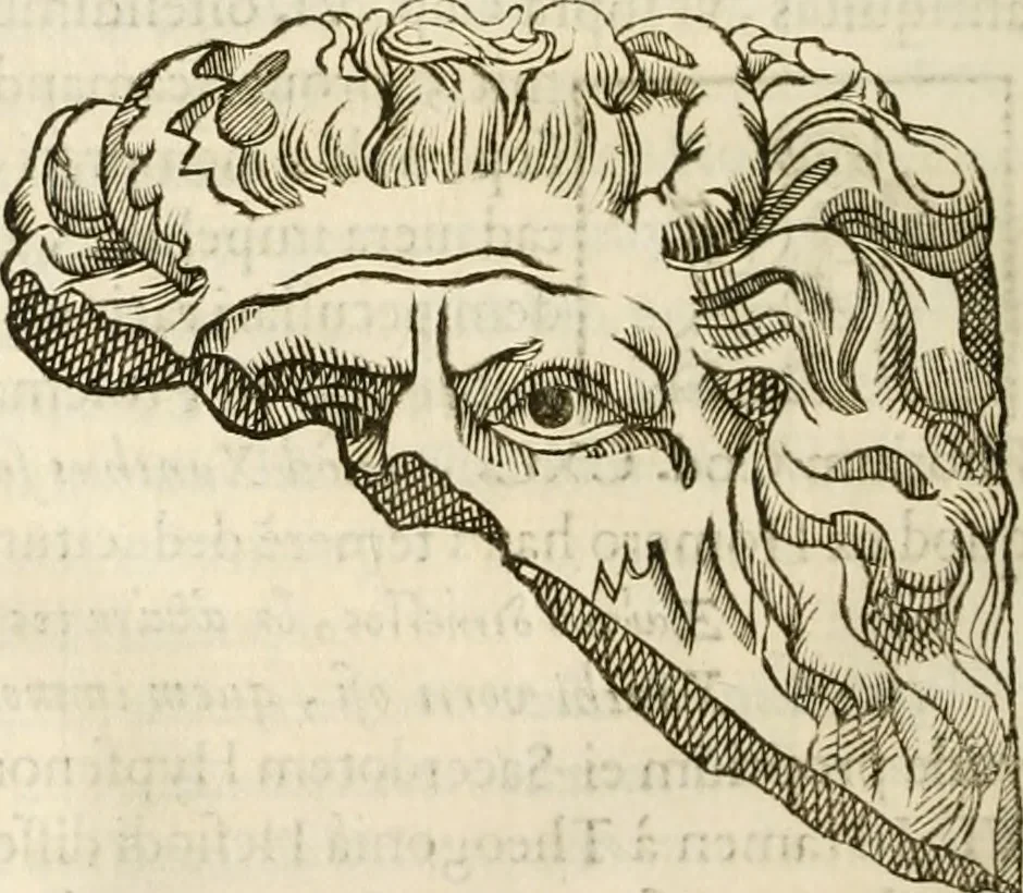 An illustration from De colvmna Traiani syntagma. Accesserunt explicatio veteris tabellae anaglyphae Homeri Iliadem, atqve ex Stesichoro, Arctino et Lesche Ilii excidivm continentis, & Emissarii Lacus Fvcini descriptio, 1683, leaf 311
