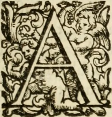 An illustration from De colvmna Traiani syntagma. Accesserunt explicatio veteris tabellae anaglyphae Homeri Iliadem, atqve ex Stesichoro, Arctino et Lesche Ilii excidivm continentis, & Emissarii Lacus Fvcini descriptio, 1683, leaf 32