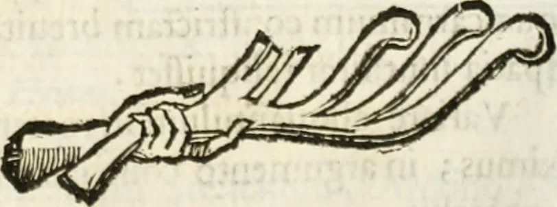 An illustration from De colvmna Traiani syntagma. Accesserunt explicatio veteris tabellae anaglyphae Homeri Iliadem, atqve ex Stesichoro, Arctino et Lesche Ilii excidivm continentis, & Emissarii Lacus Fvcini descriptio, 1683, leaf 356