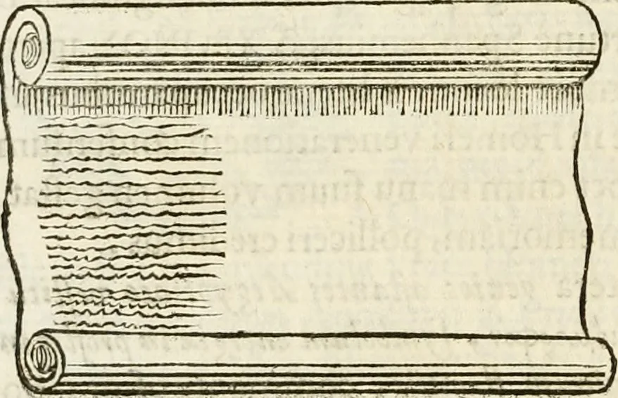 An illustration from De colvmna Traiani syntagma. Accesserunt explicatio veteris tabellae anaglyphae Homeri Iliadem, atqve ex Stesichoro, Arctino et Lesche Ilii excidivm continentis, & Emissarii Lacus Fvcini descriptio, 1683, leaf 357