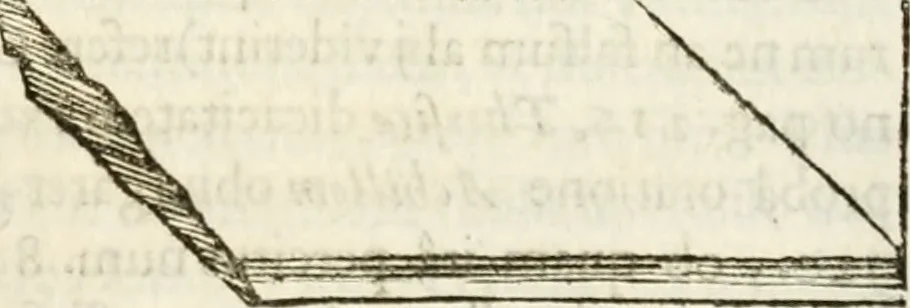 An illustration from De colvmna Traiani syntagma. Accesserunt explicatio veteris tabellae anaglyphae Homeri Iliadem, atqve ex Stesichoro, Arctino et Lesche Ilii excidivm continentis, & Emissarii Lacus Fvcini descriptio, 1683, leaf 358