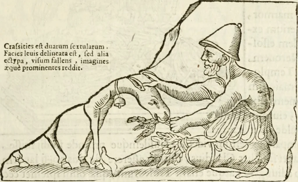 An illustration from De colvmna Traiani syntagma. Accesserunt explicatio veteris tabellae anaglyphae Homeri Iliadem, atqve ex Stesichoro, Arctino et Lesche Ilii excidivm continentis, & Emissarii Lacus Fvcini descriptio, 1683, leaf 392