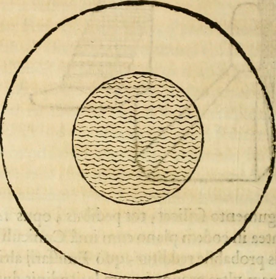 An illustration from De colvmna Traiani syntagma. Accesserunt explicatio veteris tabellae anaglyphae Homeri Iliadem, atqve ex Stesichoro, Arctino et Lesche Ilii excidivm continentis, & Emissarii Lacus Fvcini descriptio, 1683, leaf 407