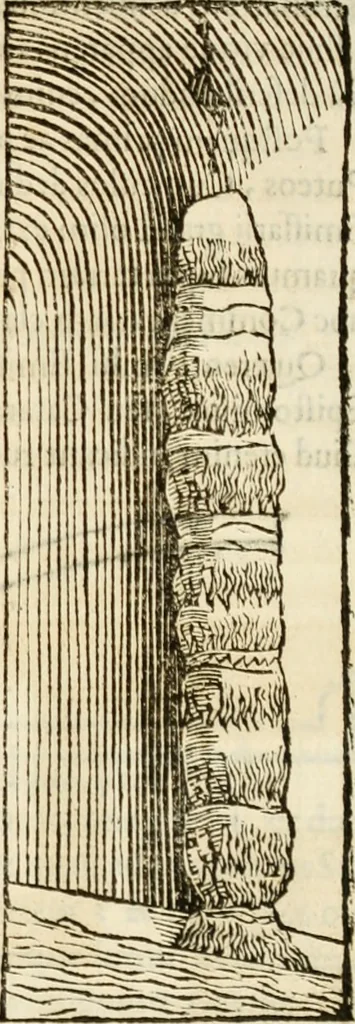 An illustration from De colvmna Traiani syntagma. Accesserunt explicatio veteris tabellae anaglyphae Homeri Iliadem, atqve ex Stesichoro, Arctino et Lesche Ilii excidivm continentis, & Emissarii Lacus Fvcini descriptio, 1683, leaf 424