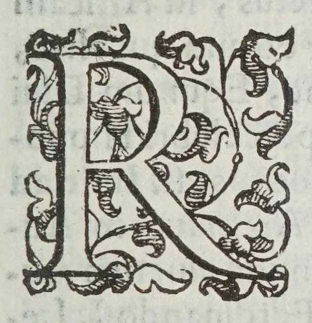 An illustration from De cometae an. MDCLII., MDCLIII. observationibvs astronomicis, Evropa fere tota peractis, & omnia sideris accidentia detegentibus : loco elementari physice, mathematiceque demonstrato : generatione ex halitu terrestri sursum elato, & vi motuum caelestium ignito : praesagiis tam naturali, quam altiori virtute fultis : effectibvs semper magnis, & noxijs humano generi, speciatimque viris excelsis : collatione ad alios cometas in multis admirandis proprietatibus, 1653, leaf 7