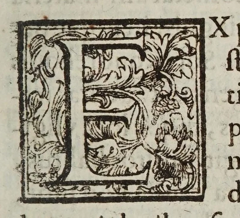 An illustration from De cometis dissertatio astronomico-physica, 1624, leaf 107