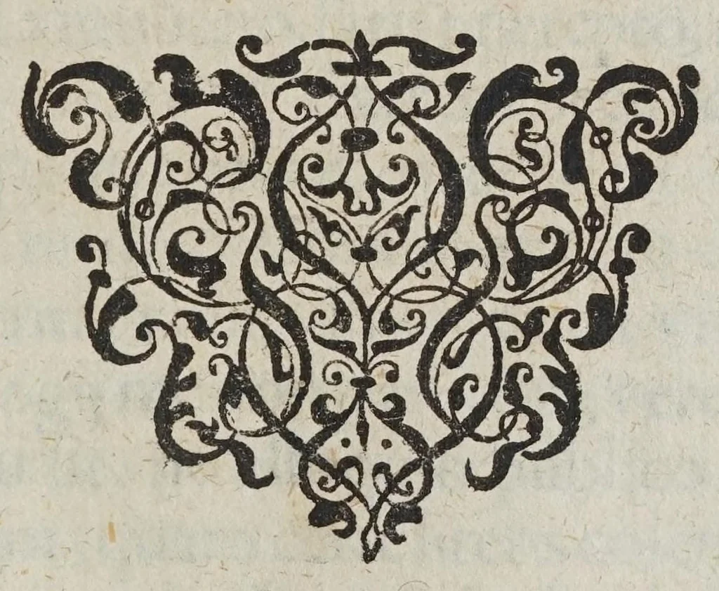 An illustration from De cometis libelli tres : I. Astronomicvs, theoremata continens de motu cometarum, vbi demonstratio apparentiarum & altitudinis cometarum qui annis 1607. & 1618. conspecti sunt ... II. Physicvs, continens physiologiam cometarum nouam ... III. Astrologicvs, de significationibus cometarum annorum 1607. & 1618, 1619, leaf 107