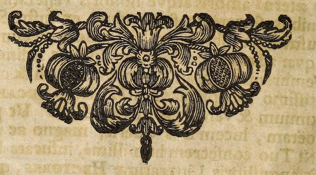 An illustration from De Constantini Magni, Christianor. impp. primi, duobus nummis : qvorum priorem, accepto sacro-sancto Baptismate, posteriorem autem, paterne facta Imperii sui anno ejusd. ultimo, inter tres filios partione, is jusserit signari epistolae duae ..., 1693, leaf 28