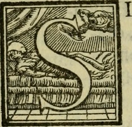 An illustration from De constitvtionibvs apostolicis, B. Clemente Romano auctore, libri octo : nunc primùm è tenebris eruti, & ad orthodoxam fidem astruendam apprimè utiles, 1563, leaf 143