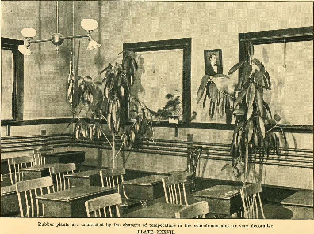 An illustration from Decoration of the school and home, 1914, leaf 107