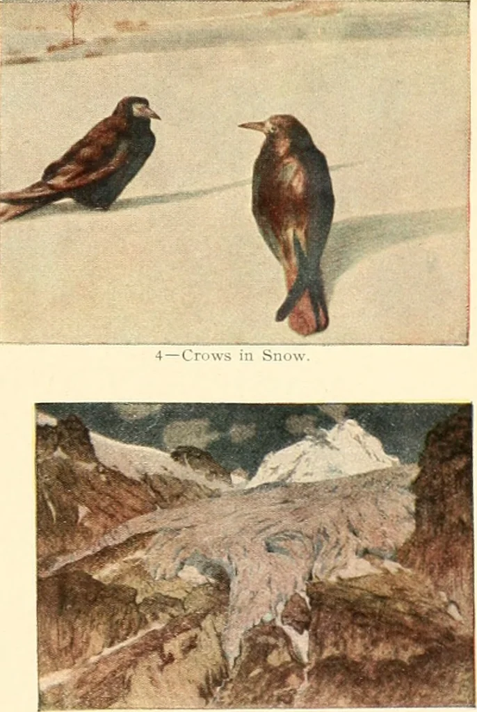 An illustration from Decoration of the school and home, 1914, leaf 114