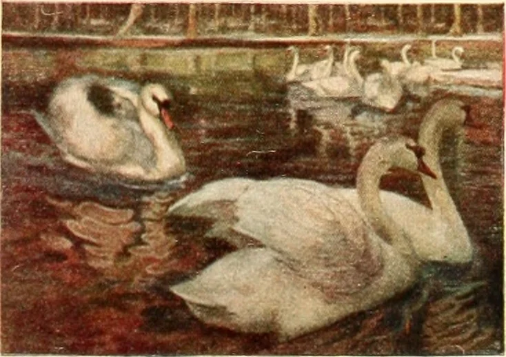 An illustration from Decoration of the school and home, 1914, leaf 114