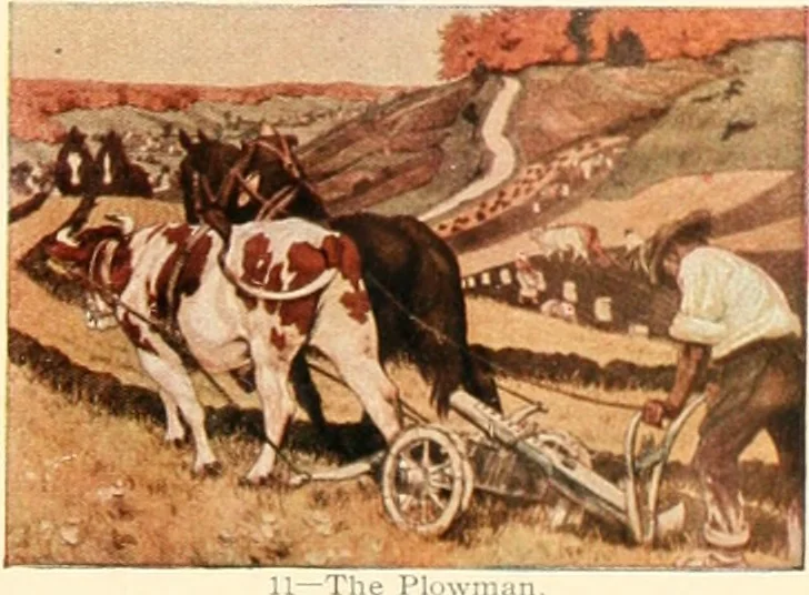 An illustration from Decoration of the school and home, 1914, leaf 114